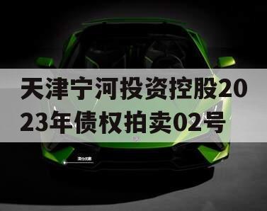 天津宁河投资控股2023年债权拍卖02号