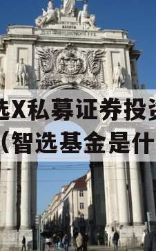 智选X私募证券投资基金（智选基金是什么）