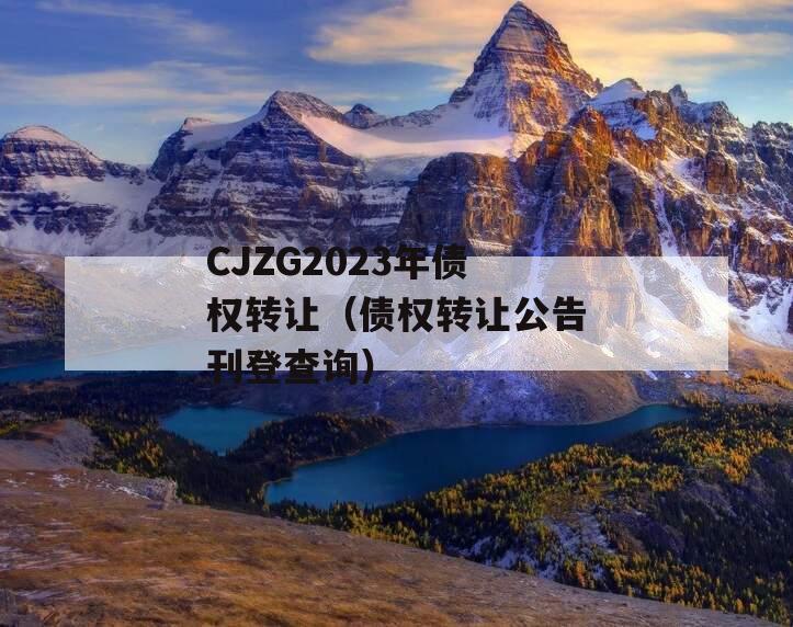 CJZG2023年债权转让（债权转让公告刊登查询）