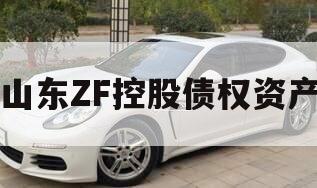 山东ZF控股债权资产