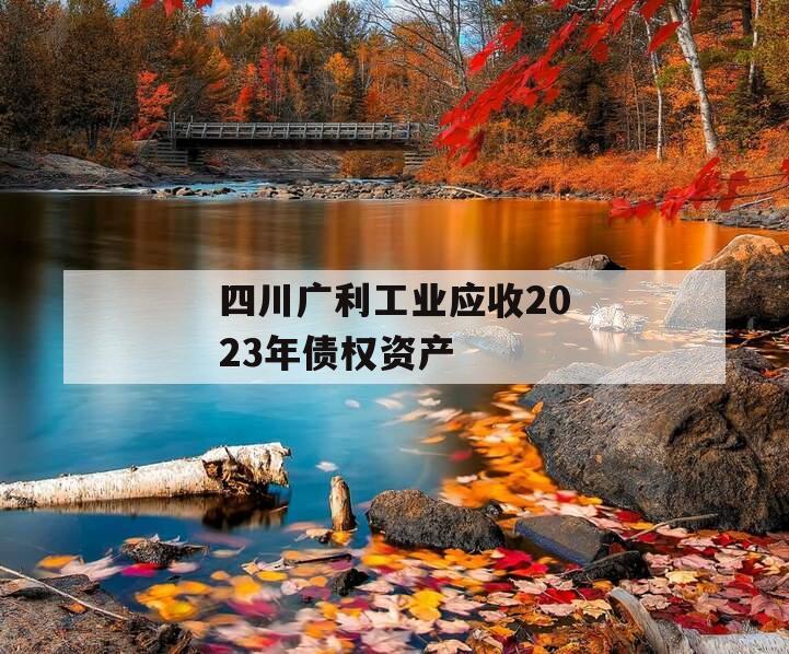 四川广利工业应收2023年债权资产