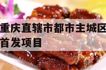 重庆直辖市都市主城区首发项目