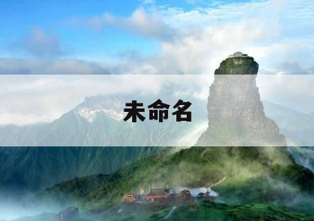 未命名 未命名