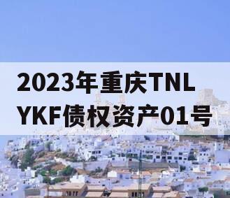 2023年重庆TNLYKF债权资产01号 2023年重庆TNLYKF债权资产01号