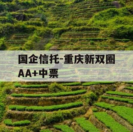 国企信托-重庆新双圈AA+中票 国企信托-重庆新双圈AA+中票