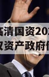 山东临清国资2023年债权资产政府债定融