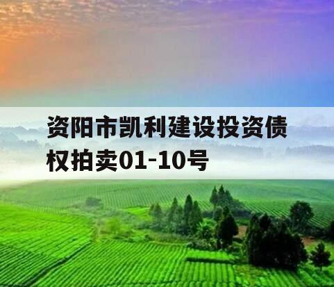 资阳市凯利建设投资债权拍卖01-10号