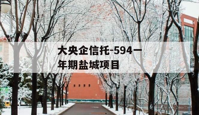 大央企信托-594一年期盐城项目 大央企信托-594一年期盐城项目