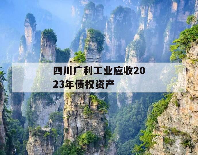 四川广利工业应收2023年债权资产