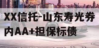XX信托-山东寿光券内AA+担保标债
