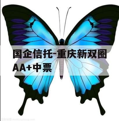国企信托-重庆新双圈AA+中票