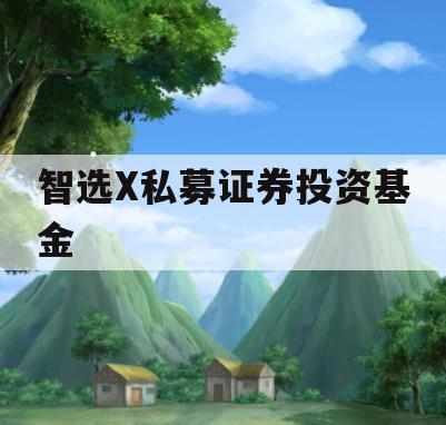 智选X私募证券投资基金