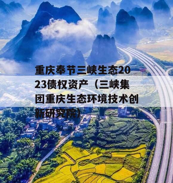 重庆奉节三峡生态2023债权资产（三峡集团重庆生态环境技术创新研究院）