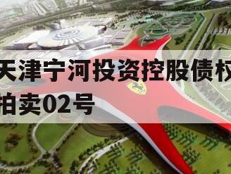 天津宁河投资控股债权拍卖02号 天津宁河投资控股债权拍卖02号