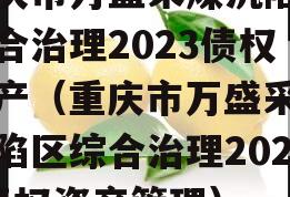 重庆市万盛采煤沉陷区综合治理2023债权资产（重庆市万盛采煤沉陷区综合治理2023债权资产管理）