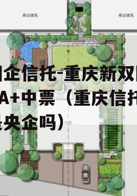 国企信托-重庆新双圈AA+中票（重庆信托是央企吗）
