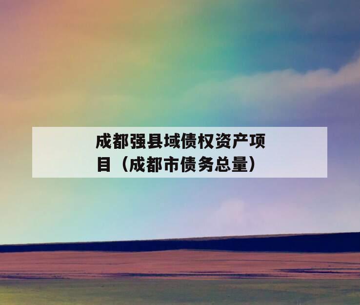 成都强县域债权资产项目（成都市债务总量）