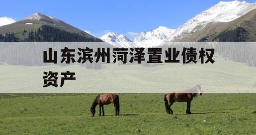 山东滨州菏泽置业债权资产