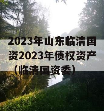 2023年山东临清国资2023年债权资产（临清国资委）
