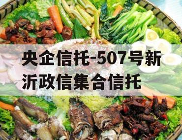 央企信托-507号新沂政信集合信托