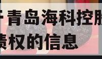 关于青岛海科控股2023债权的信息