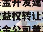 金堂兴金开发建设投资债权收益权转让项目（金堂兴金公司董事长）
