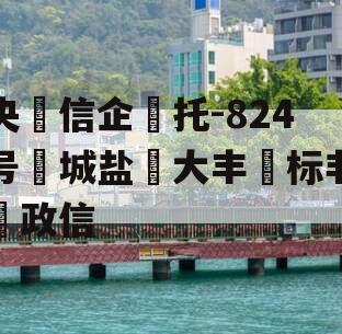 央‮信企‬托-824号‮城盐‬大丰‮标非‬政信