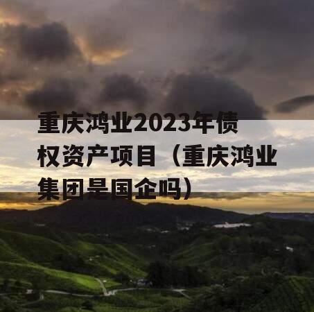 重庆鸿业2023年债权资产项目（重庆鸿业集团是国企吗）