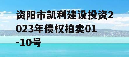资阳市凯利建设投资2023年债权拍卖01-10号