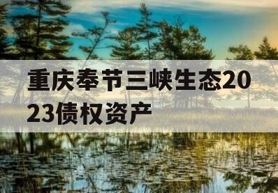 重庆奉节三峡生态2023债权资产