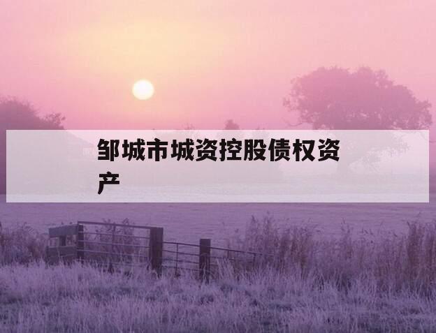 邹城市城资控股债权资产