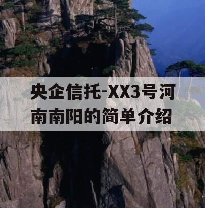 央企信托-XX3号河南南阳的简单介绍