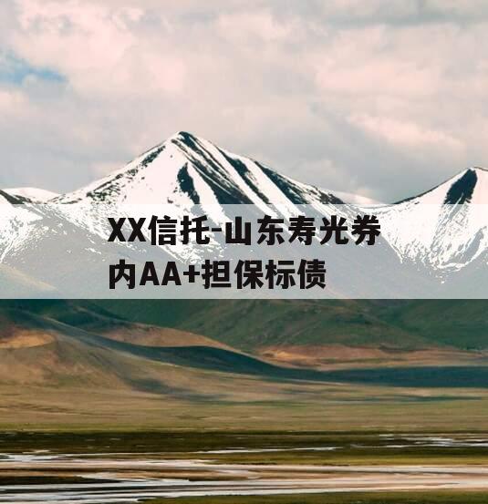XX信托-山东寿光券内AA+担保标债