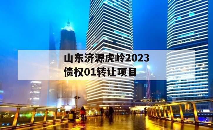 山东济源虎岭2023债权01转让项目