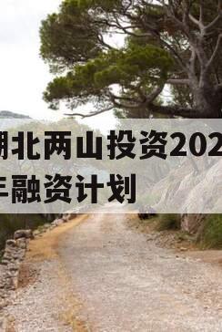 湖北两山投资2023年融资计划 湖北两山投资2023年融资计划
