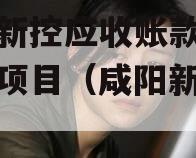 咸阳新控应收账款债权转让项目（咸阳新城控股）