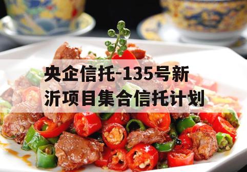央企信托-135号新沂项目集合信托计划