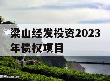 梁山经发投资2023年债权项目