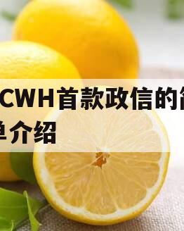 FCWH首款政信的简单介绍