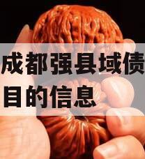 关于成都强县域债权资产项目的信息