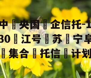中‮央国‬企信托-130‮江号‬苏‮宁阜‬集合‮托信‬计划