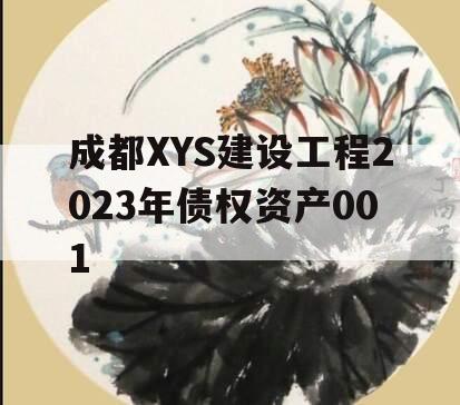 成都XYS建设工程2023年债权资产001