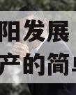 四川简阳发展（控股）债权资产的简单介绍