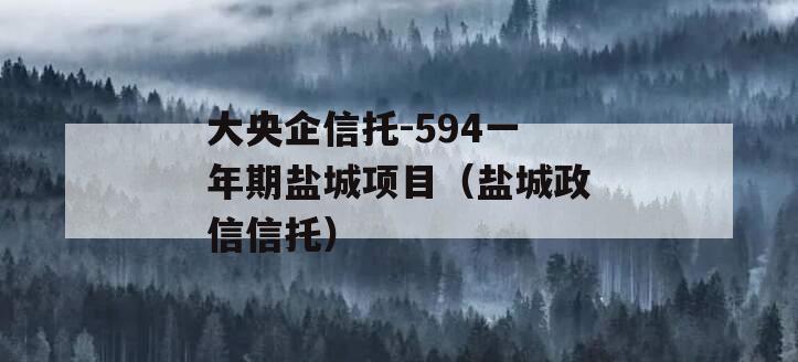 大央企信托-594一年期盐城项目（盐城政信信托）