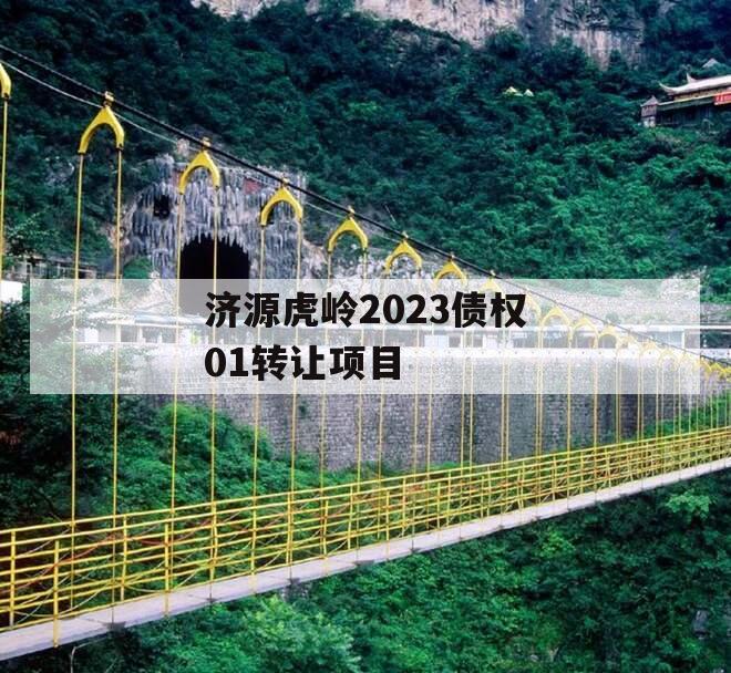 济源虎岭2023债权01转让项目