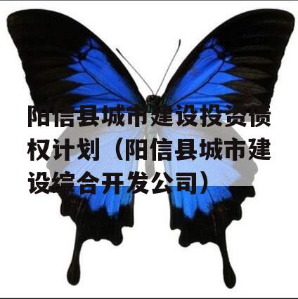 阳信县城市建设投资债权计划（阳信县城市建设综合开发公司）