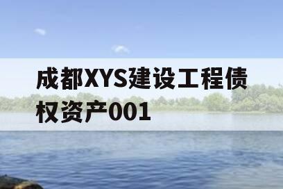 成都XYS建设工程债权资产001