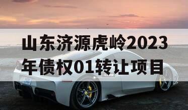 山东济源虎岭2023年债权01转让项目