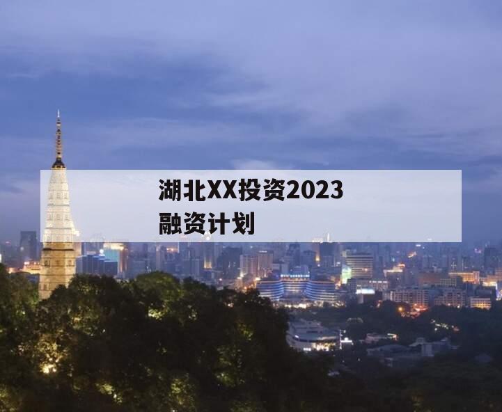 湖北XX投资2023融资计划