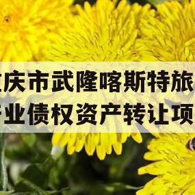 重庆市武隆喀斯特旅游产业债权资产转让项目